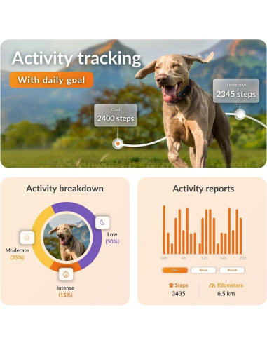 Collar GPS para Perros Weenect XT - Impermeable y Durable