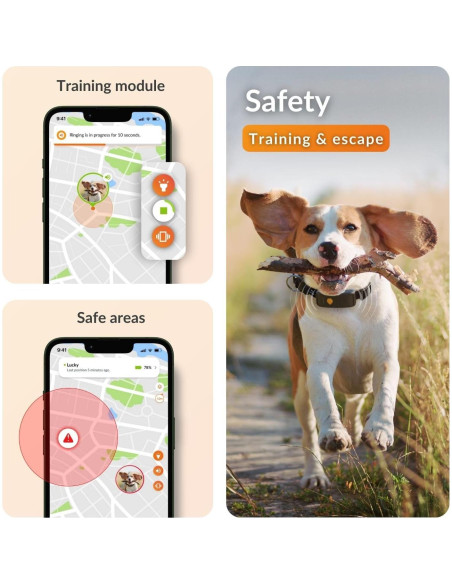 Collar GPS para Perros Weenect XT - Impermeable y Durable