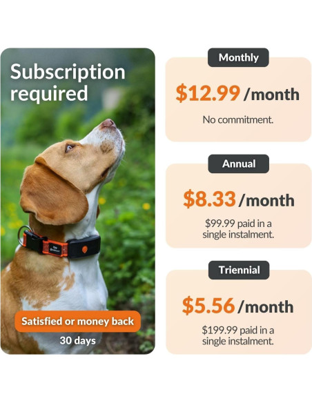 Collar GPS para Perros Weenect XT - Impermeable y Durable