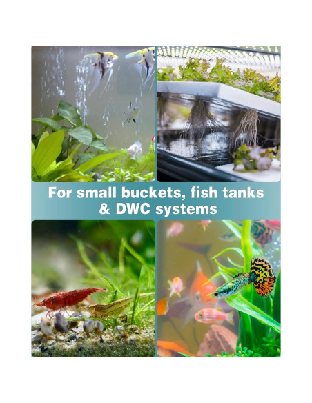 Difusor de Burbuja Pawfly 1.5 cm para Acuarios - Paquete de 12