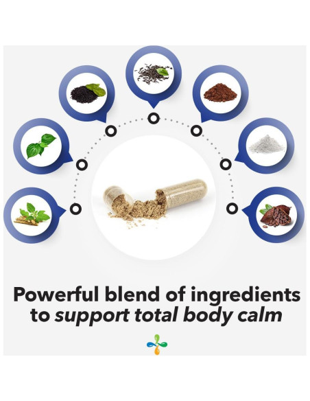 Anxie-T Plus LifeSeasons - Suplemento Antiestrés 60 Cápsulas