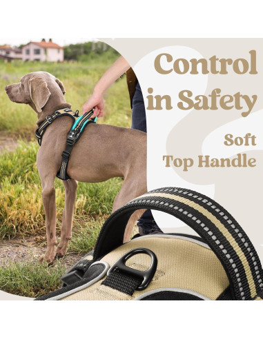 Arnés para Perros Rabbitgoo Pequeño Beige Ajustable Sin Tirones