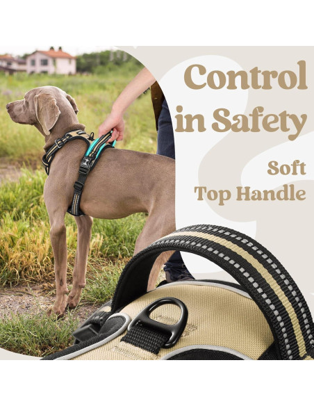 Arnés para Perros Rabbitgoo Pequeño Beige Ajustable Sin Tirones