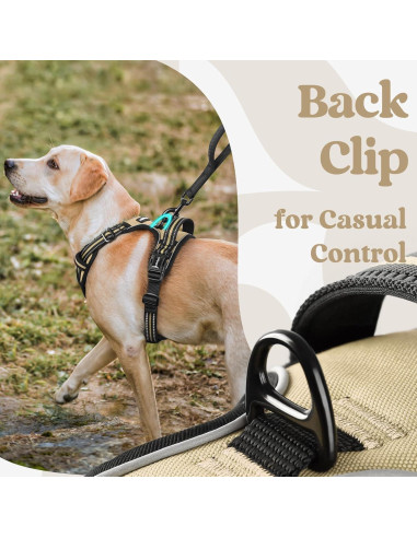 Arnés para Perros Rabbitgoo Pequeño Beige Ajustable Sin Tirones