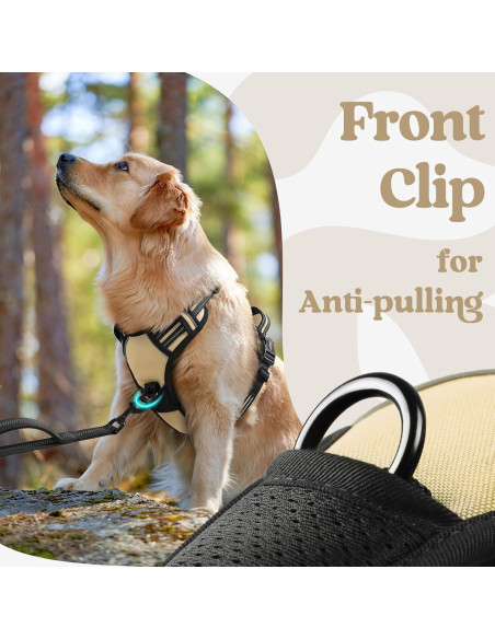 Arnés para Perros Rabbitgoo Pequeño Beige Ajustable Sin Tirones