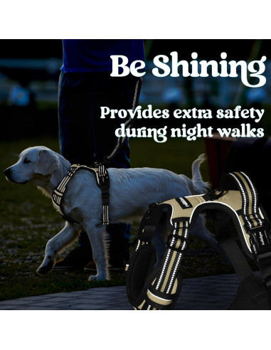 Arnés para Perros Rabbitgoo Pequeño Beige Ajustable Sin Tirones