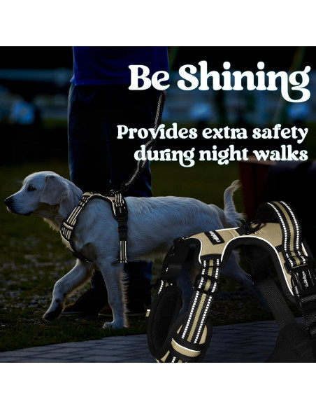 Arnés para Perros Rabbitgoo Pequeño Beige Ajustable Sin Tirones