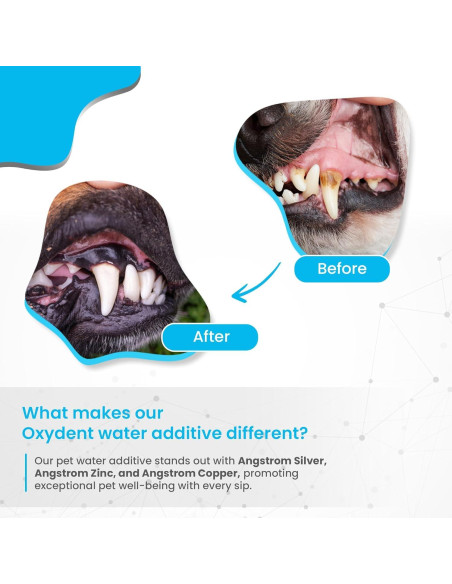 Oxydent Aditivo Dental para Mascotas 473ml - Elimina Mal Aliento