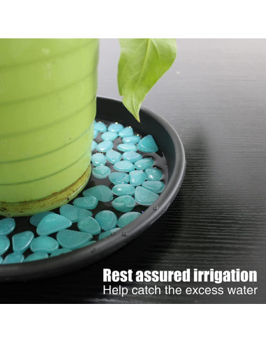 Plato de Planta Lechay 30.48cm Negro - Paquete de 3