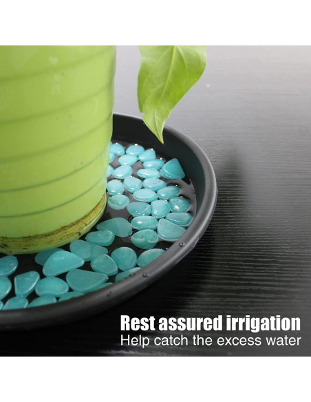 Plato de Planta Lechay 30.48cm Negro - Paquete de 3