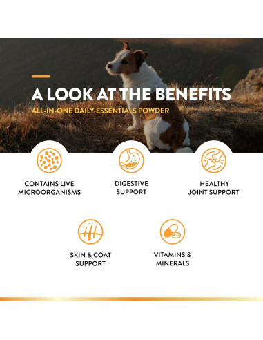 Suplemento Todo-en-Uno NaturVet para Perros 368.5g - Articulaciones, Piel y Digestión