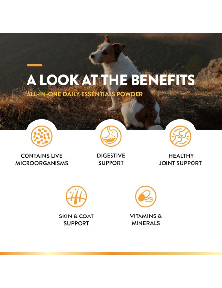 Suplemento Todo-en-Uno NaturVet para Perros 368.5g - Articulaciones, Piel y Digestión