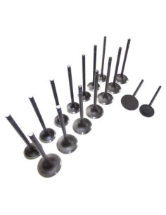 Kit Válvula de Admisión y Escape DNJ para Toyota 4Runner 2.4L 2.7L