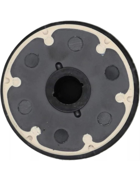 Rotor de Bomba de Agua Eléctrica AUTO OCCASION 161A0-29015