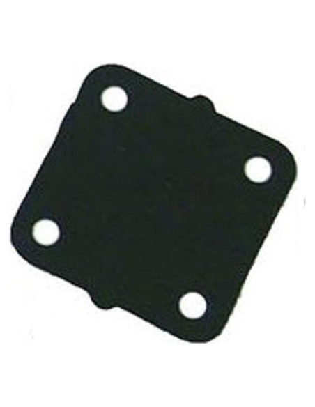 Diafragma Principal Evinrude 0331307 para Motor Marino