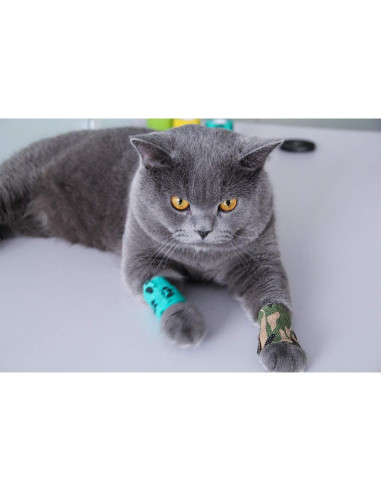 Vendaje Cohesivo Autoadhesivo AUPCON 5.08 cm para Mascotas