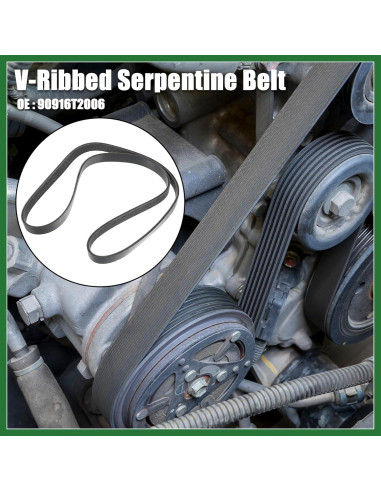 Correa V-Ribbed Motoforti 90916T2006 para Toyota Hilux/Fortuner