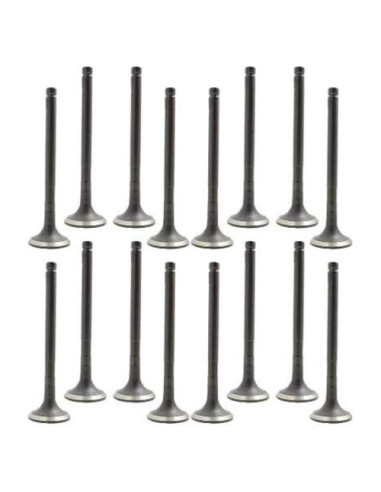 Kit de Válvula de Admision y Escape DNJ VK16945 para Toyota 1.6L 1.8L