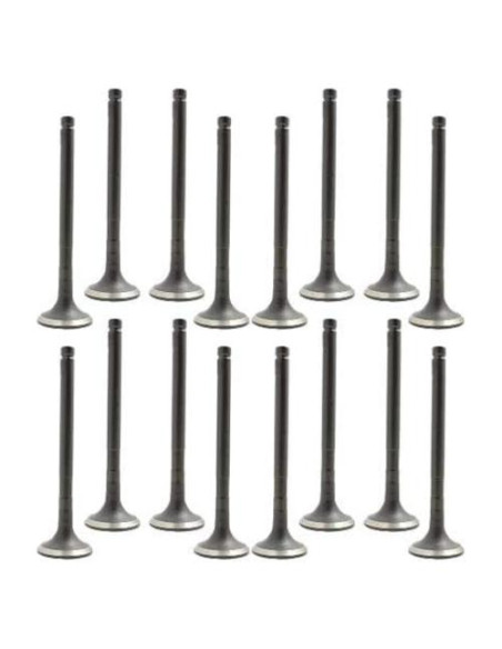 Kit de Válvula de Admision y Escape DNJ VK16945 para Toyota 1.6L 1.8L