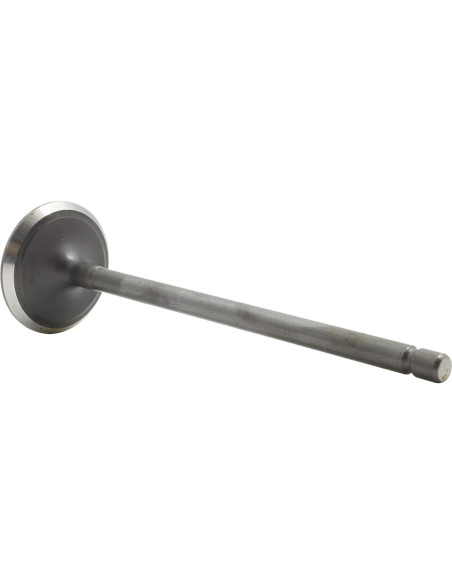 Válvula de Admisión DNJ IV928 para Toyota 1.8L 2008-2015