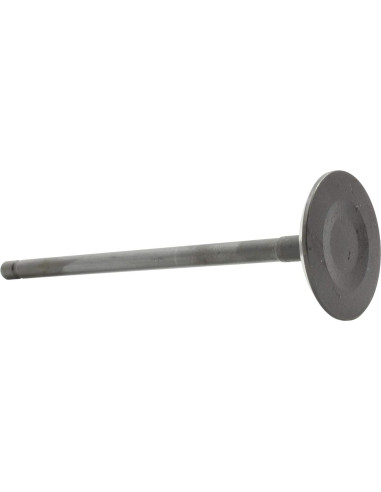 Válvula de Admisión DNJ IV928 para Toyota 1.8L 2008-2015