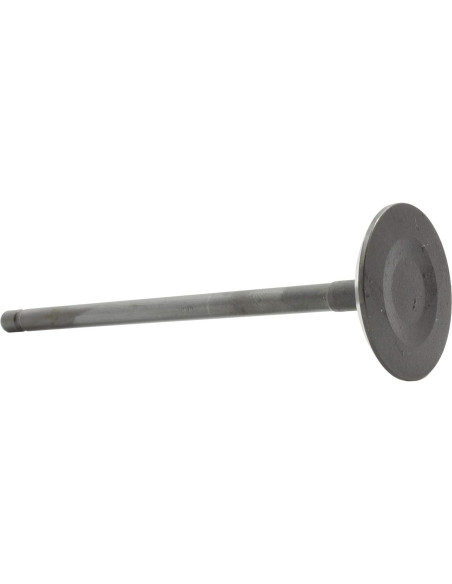 Válvula de Admisión DNJ IV928 para Toyota 1.8L 2008-2015