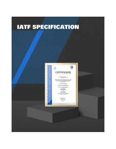 Kit de Freno Delantero Anpulsero para Dodge Caravan 2003-2004