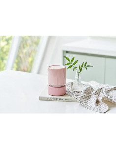 Prensa de Tofu Banu 1.0 QT Menta - Colador de Yogur y Verduras 2