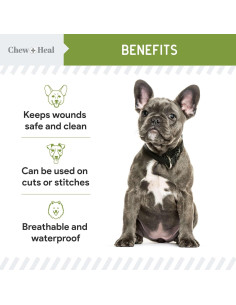 Vendaje Líquido para Perros Chew + Heal 118 ml Aloe Cuidado Heridas 2