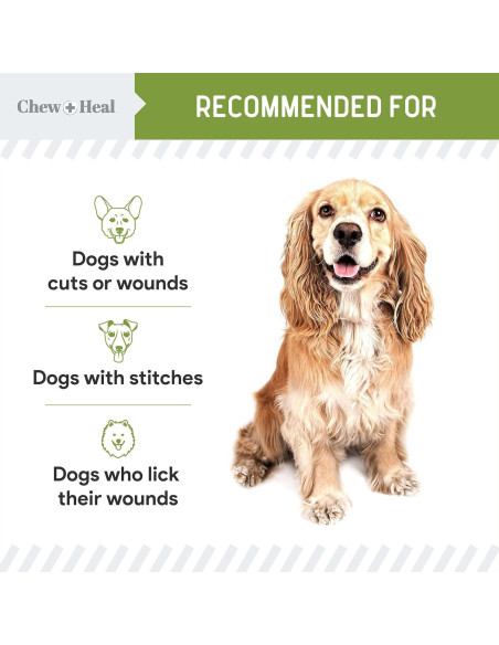 Vendaje Líquido para Perros Chew + Heal 118 ml Aloe Cuidado Heridas
