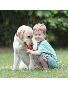 KONG Classic Juguete Rellenable para Perros Extra Pequeños - Caucho Natural Duradero 2