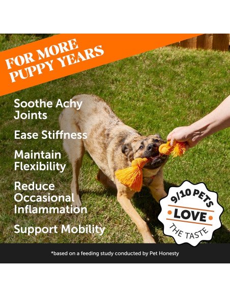 Suplemento de Caderas y Articulaciones Pet Honesty 90 ct Bacon