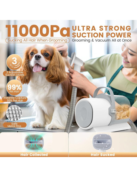 Aspiradora para Perros FIXR PG50 Plus 2.5L 11000Pa 7 en 1