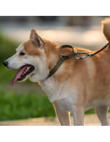 Collar Martingale Nylon Antiescape Hyhug Verde Militar Pequeño