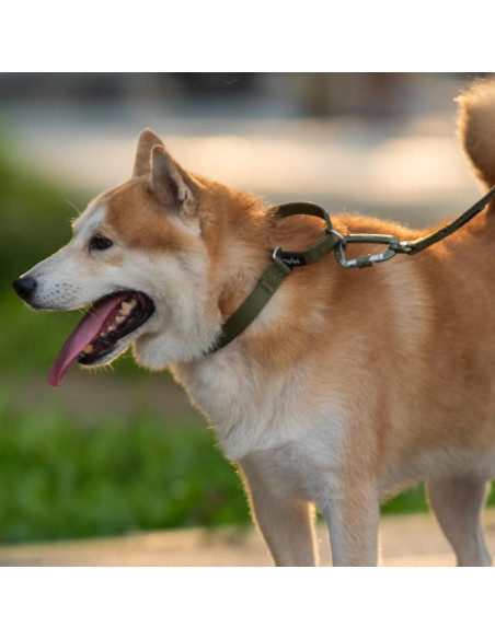 Collar Martingale Nylon Antiescape Hyhug Verde Militar Pequeño