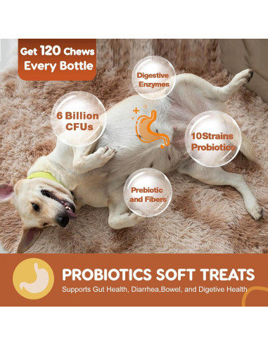 Probioticos para Perros ZEBORA 120 Masticables Salud Digestiva