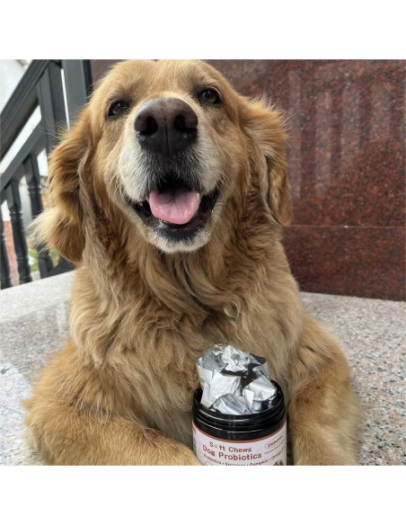 Probioticos para Perros ZEBORA 120 Masticables Salud Digestiva