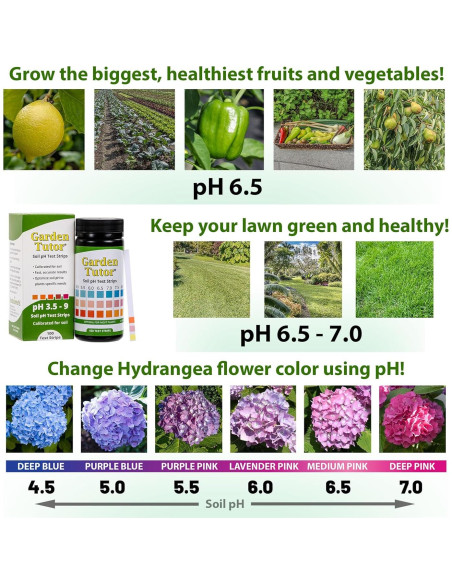 Kit de Prueba de pH del Suelo Garden Tutor - 100 Tiras