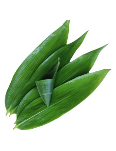 100 Pcs Plato de Sushi de Hoja de Bambú Fresca AQUGOO 30.48x7.62 cm