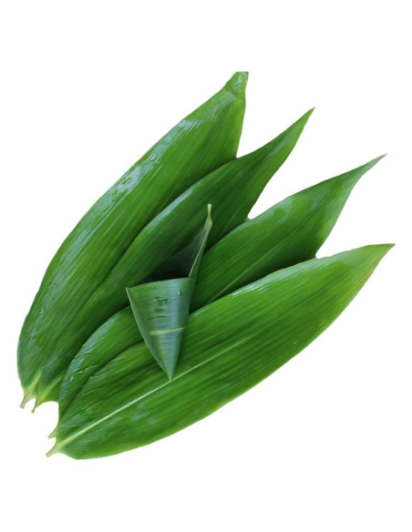 100 Pcs Plato de Sushi de Hoja de Bambú Fresca AQUGOO 30.48x7.62 cm