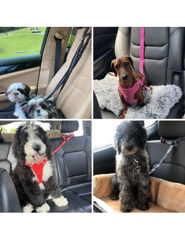 Cinturón de Seguridad para Mascotas BWOGUE Ajustable Negro