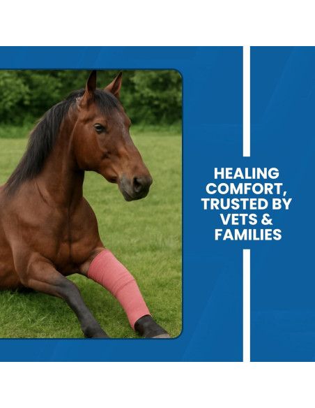 Gasa Adherente JorVet 100% Algodón 12 Rollos 7.6 cm x 4.57 m