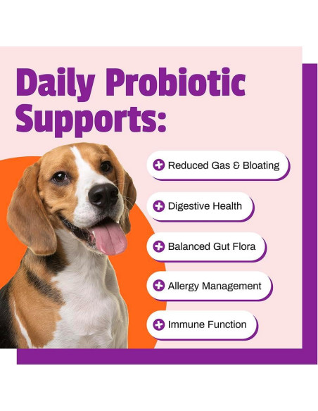 Probiotico Diario para Perros Pet Naturals - 60 Masticables