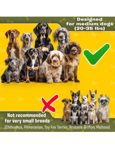 Acoplador de Correa Doble Pet Dreamland para Perros Medianos 2