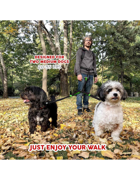 Acoplador de Correa Doble Pet Dreamland para Perros Medianos