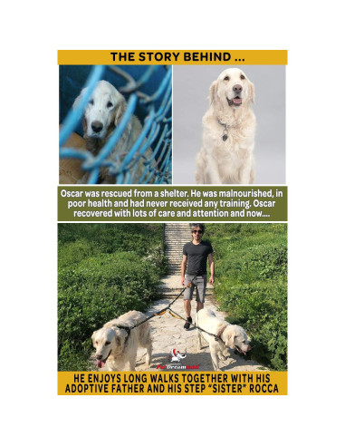 Acoplador de Correa Doble Pet Dreamland para Perros Medianos