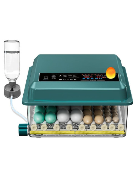 Incubadora Automática de Huevos 36 Bandejas Enjoy Plush