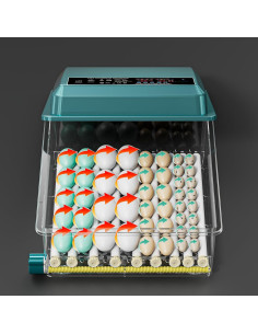 Incubadora Automática de Huevos 36 Bandejas Enjoy Plush 2