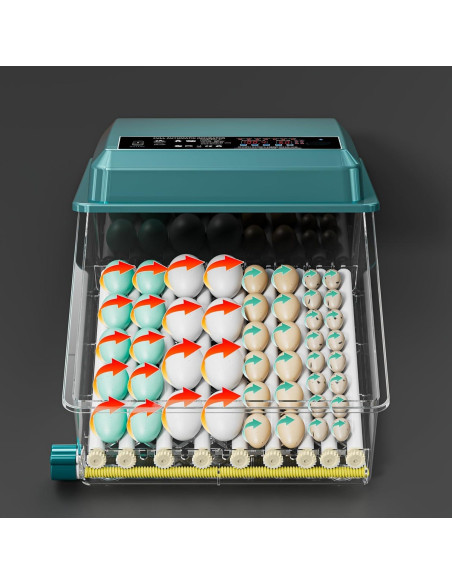 Incubadora Automática de Huevos 36 Bandejas Enjoy Plush