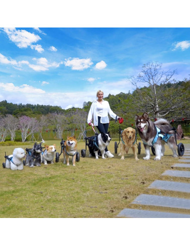 Silla de Ruedas para Perros Pequeños Celestaura Ajustable